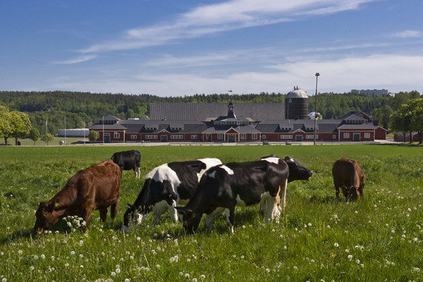 DeLaval publishes 2018 Sustainability Report DeLaval publishes 2018 Sustainability Report