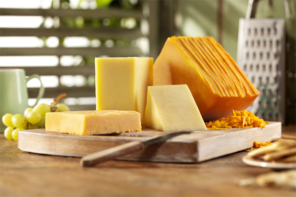 DSM introduces new DelvoCheese CH-120 culture range for cheese DSM introduces new DelvoCheese CH-120 culture range for cheese